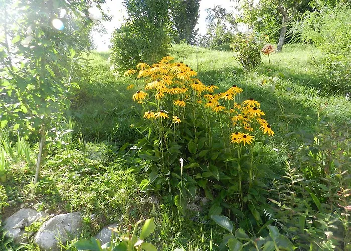 Апартаменты Dvor